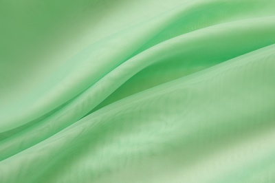 Портьерный капрон 13-6009, 47 гр/м2, шир.300см, цвет св.зелёный - купить в Дербенте. Цена 143.68 руб.