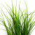 Трава искусственная -3, шт (осока 50 см/8 см  5 листов)				 - купить в Дербенте. Цена: 124.17 руб.