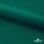 Ткань подкладочная Таффета, 19-5420, 53 г/м2, антистатик, шир. 150 см, вечнозеленый - купить в Дербенте. Цена 57.16 руб.