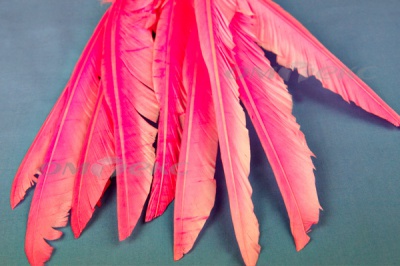 Декоративный Пучок из перьев, перо 25см/розовый - купить в Дербенте. Цена: 14.40 руб.