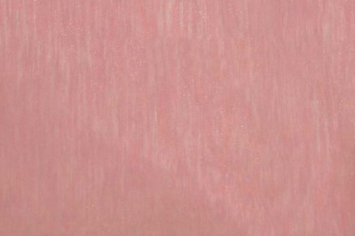 Органза однотонная "Амелия" С19 (Розовый) 280 см - купить в Дербенте. Цена 303.09 руб.