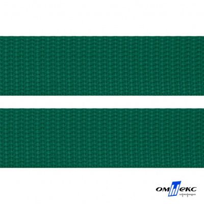 Зелёный- цв.876 -Текстильная лента-стропа 550 гр/м2 ,100% пэ шир.20 мм (боб.50+/-1 м) - купить в Дербенте. Цена: 318.85 руб.