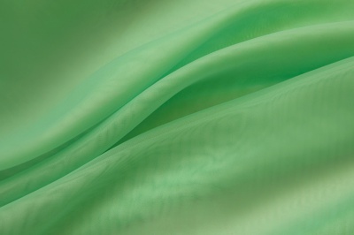 Портьерный капрон 15-6123, 47 гр/м2, шир.300см, цвет св.зелёный - купить в Дербенте. Цена 137.27 руб.