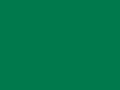 85 см № 258 яр. зеленый спираль (G) сорт-2 - купить в Дербенте. Цена: 16.97 руб.