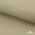 Ткань подкладочная TWILL 230T 14-1108, беж светлый 100% полиэстер,66 г/м2, шир.150 cм - купить в Дербенте. Цена 90.59 руб.