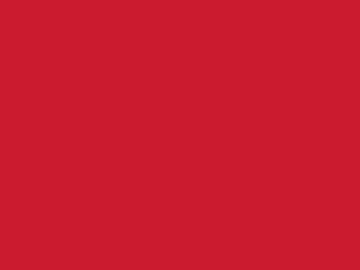 Сетка подкладочная красный, 60г/м2 (10 м/кг) - купить в Дербенте. Цена 894.77 руб.