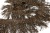 008-коричневый, Бахрома арт.001 шир.10см (упак.12+/-0,5м) - купить в Дербенте. Цена: 1 017.33 руб.