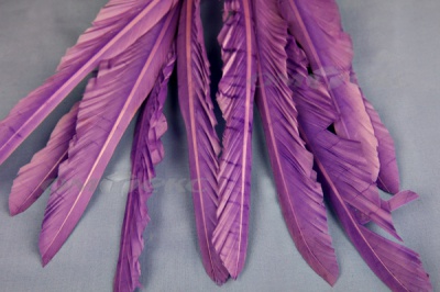 Декоративный Пучок из перьев, перо 25см/фиолетовый - купить в Дербенте. Цена: 12.19 руб.