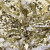 Трикотажное полотно, Сетка с пайетками, шир.130 см, #315, цв.-белый/золото - купить в Дербенте. Цена 693.39 руб.