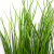 Трава искусственная -4, шт  (осока 50 см/8 см  7 листов)				 - купить в Дербенте. Цена: 130.73 руб.