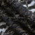 Кружевное полотно XD LACE 1-4, 80 гр/м2, шир.150см, цвет чёрный - купить в Дербенте. Цена 245.94 руб.